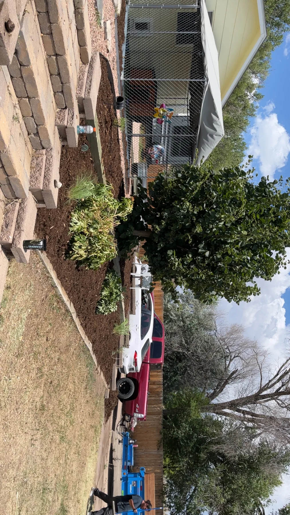 Mulch installation project
