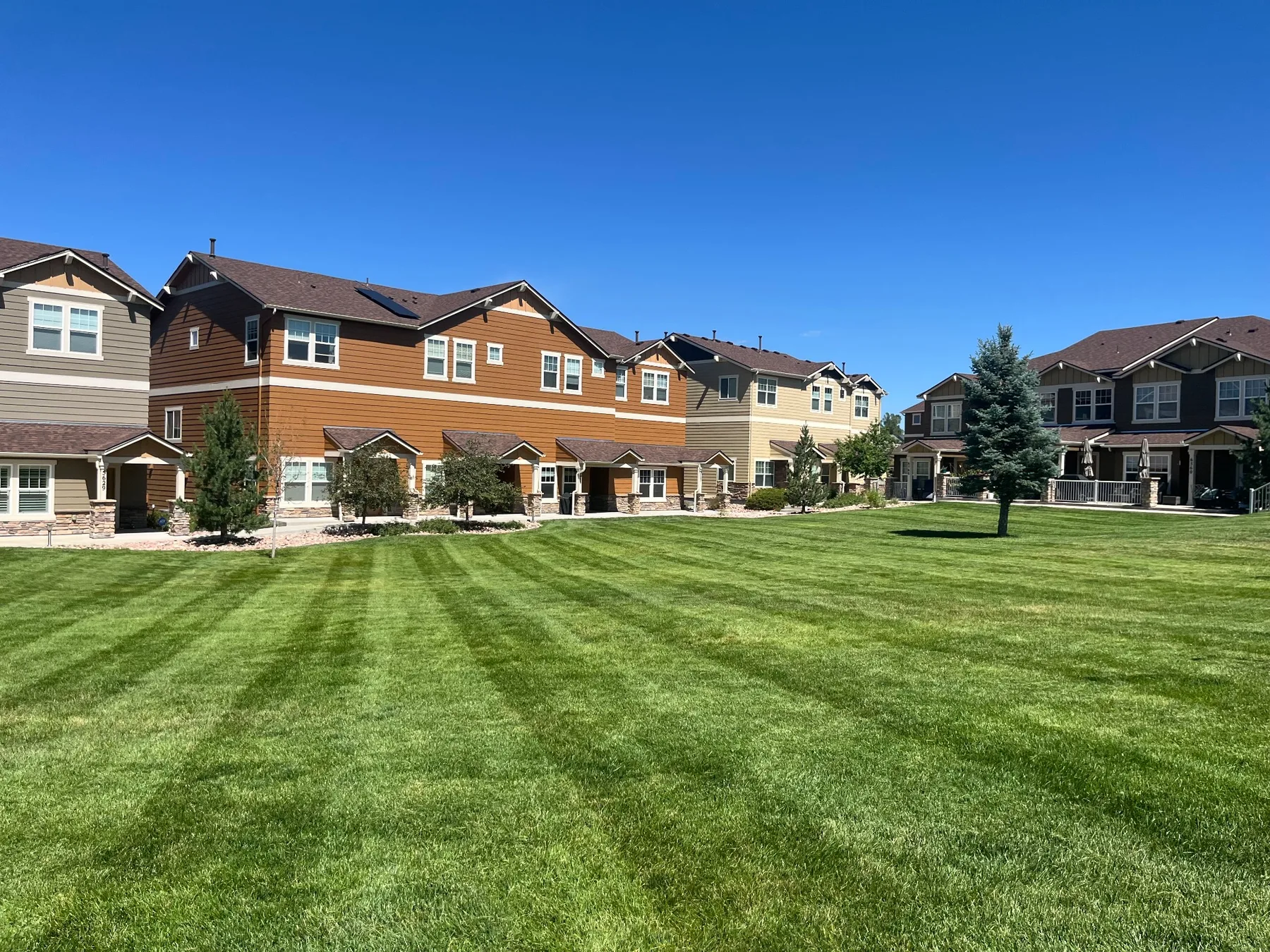Freshly mowed striped lawn maintained by Summit Shield Landscaping